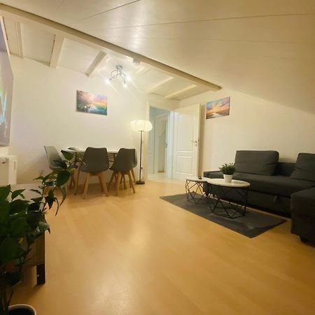 Deluxe Business Suite Mit Netflix Premium & Parkplatz, Zentral Zu Audi & Schwarz Gruppe With 2 Bedrooms Bad Friedrichshall Eksteriør billede