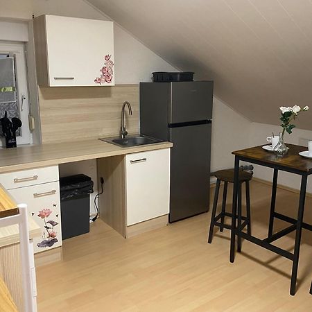 Deluxe Business Suite Mit Netflix Premium & Parkplatz, Zentral Zu Audi & Schwarz Gruppe With 2 Bedrooms Bad Friedrichshall Eksteriør billede