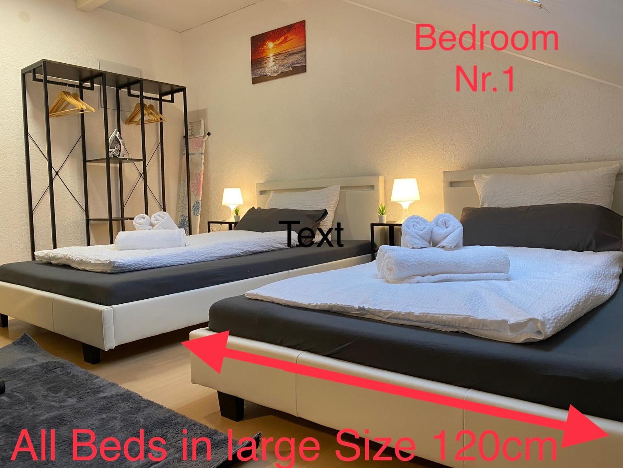 Deluxe Business Suite Mit Netflix Premium & Parkplatz, Zentral Zu Audi & Schwarz Gruppe With 2 Bedrooms Bad Friedrichshall Eksteriør billede