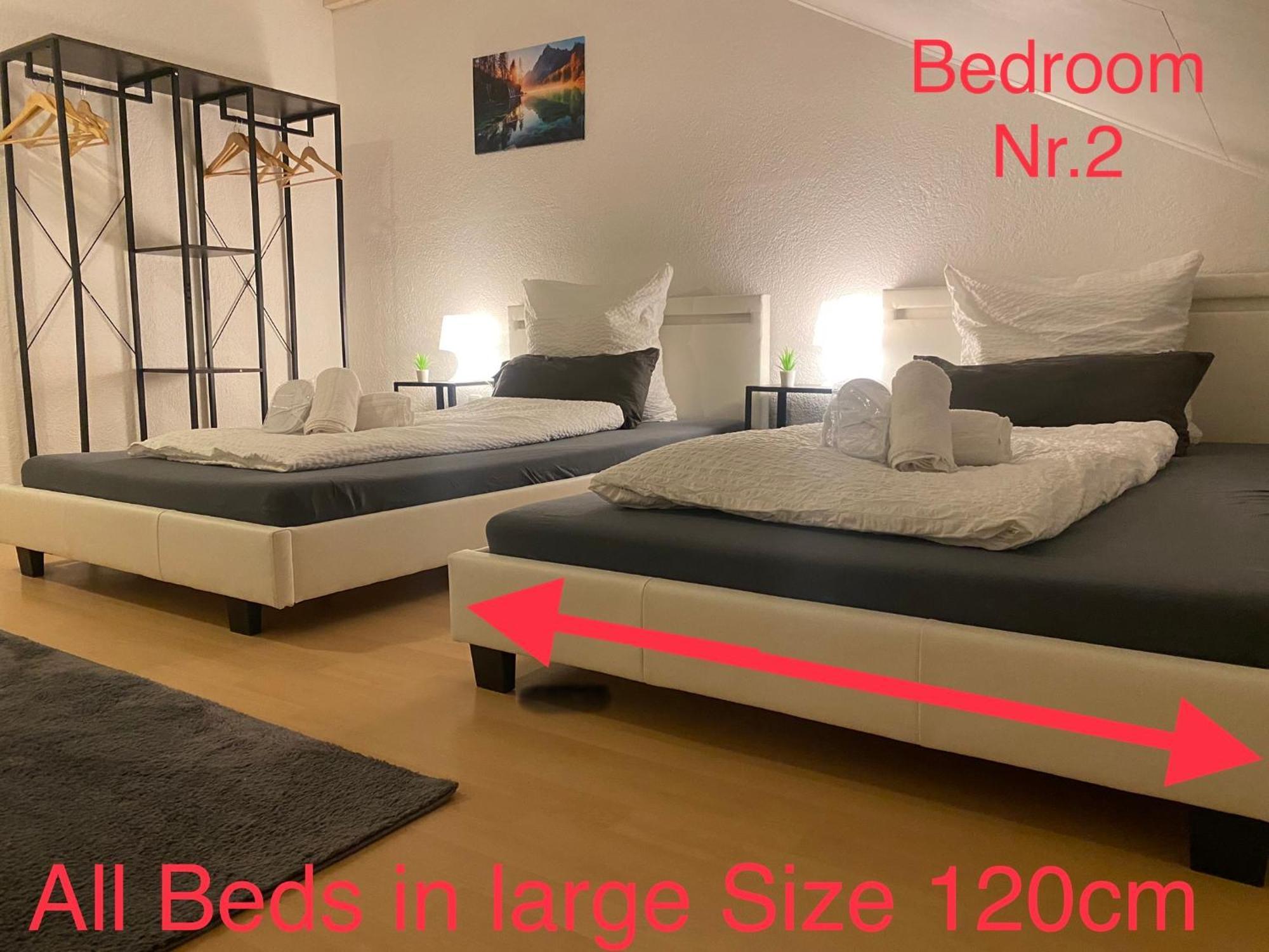 Deluxe Business Suite Mit Netflix Premium & Parkplatz, Zentral Zu Audi & Schwarz Gruppe With 2 Bedrooms Bad Friedrichshall Eksteriør billede